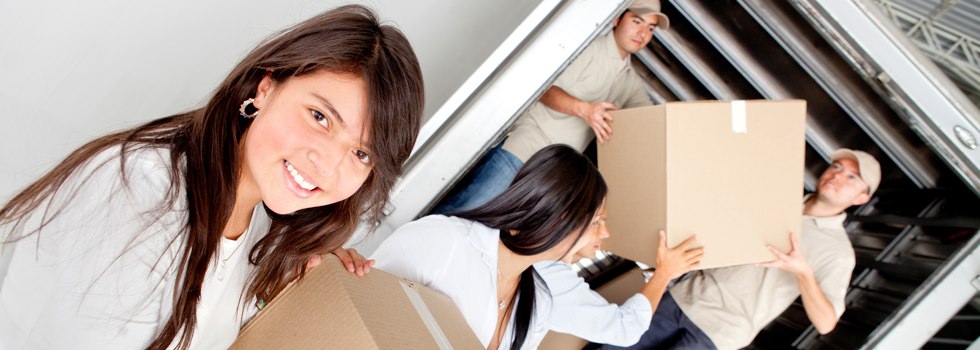Professional Removalists Griffith ACT